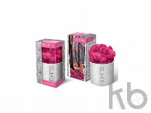 Мох Ягель натуральный