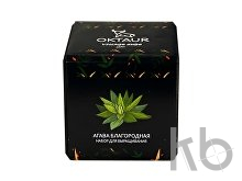 Набор для выращивания «Small village cube «Агава Благородная»