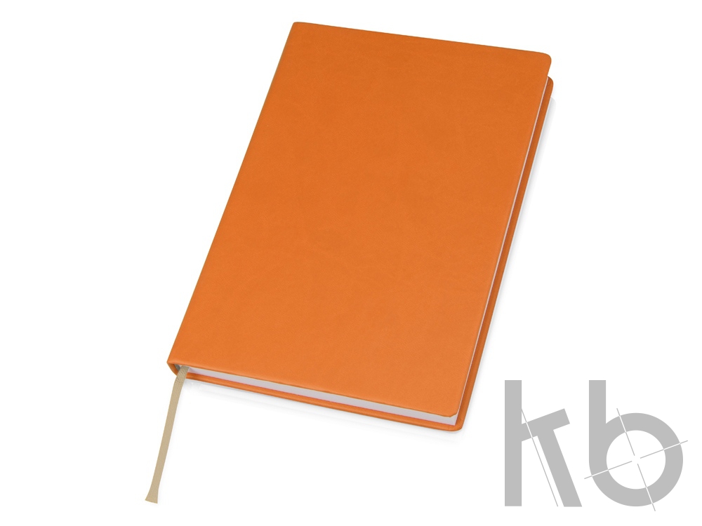 Ежедневник недатированный А5 «Lead AR»