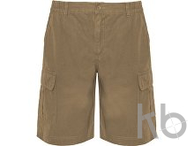 Шорты «Armour», мужские