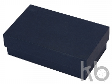 Настольный прибор «Эволюция»