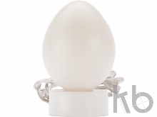 Cветильник «Яйцо»