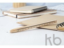 ballpoint pen with ruler