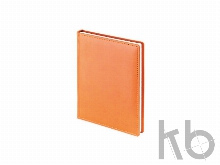 Ежедневник недатированный А6+ «Velvet»