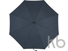Polyester (190T) umbrella