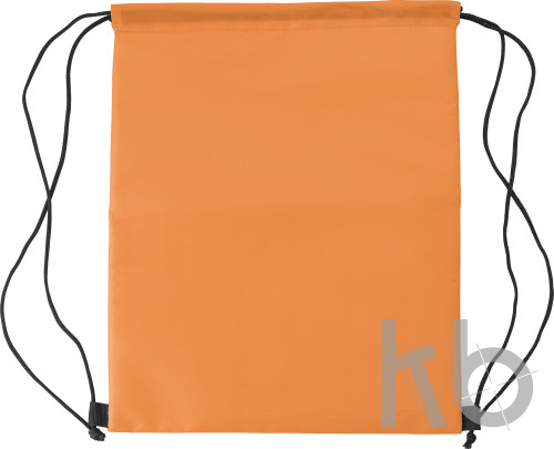 Polyester (210D) cooler bag