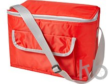 Polyester (420D) cooler bag