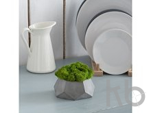 Кашпо бетонное со мхом «Альфа»