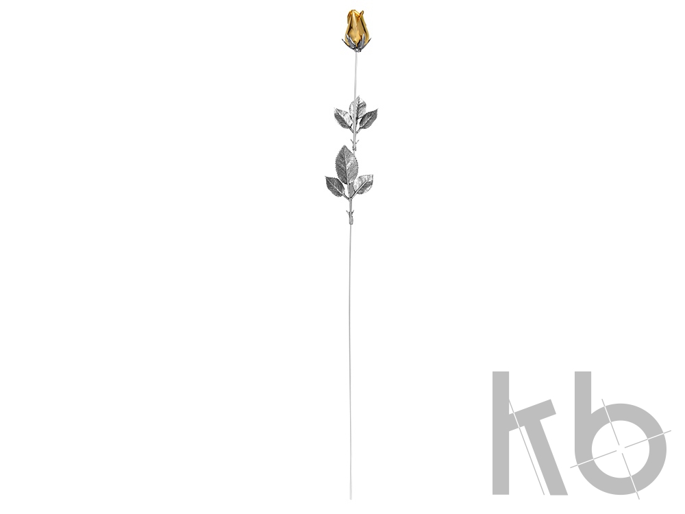 Роза с золотым бутоном