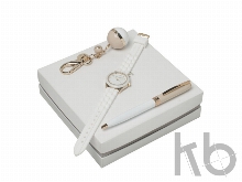 Подарочный набор Bird: брелок, часы наручные, ручка шариковая