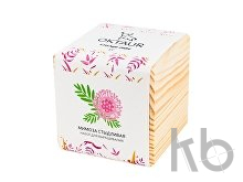 Набор для выращивания «Big village cube «Мимоза стыдливая»