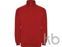 Свитшот «Aneto» мужской