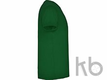 Футболка «Samoyedo» мужская