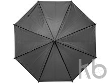 Polyester (170T) umbrella