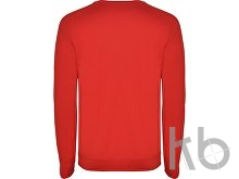 Свитшот «Annapurna» мужской