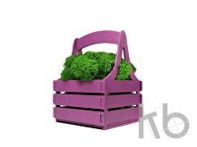 Композиция «Корзинка со мхом»