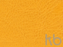 Ежедневник недатированный А5 «Vivid Flex AR»