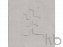 Подарочный набор «Вырасти Бонсай дома. Жасмин»