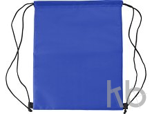 Polyester (210D) cooler bag