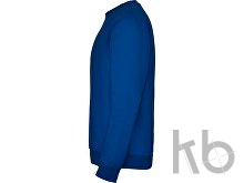 Свитшот с начесом «Clasica» унисекс