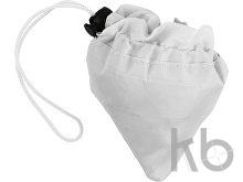 Polyester (210D) shopping bag