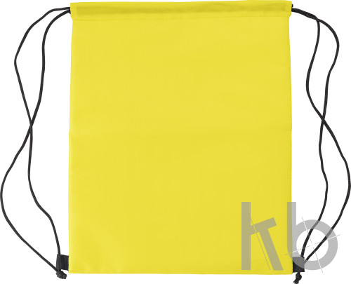 Polyester (210D) cooler bag