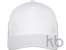 Бейсболка «Doyle»