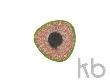 Трехгранный карандаш «Conti» из переработанных контейнеров