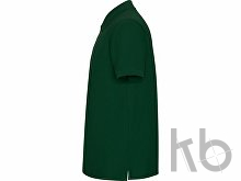 Рубашка поло «Pegaso» мужская