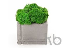 Кашпо бетонное со мхом «Square»