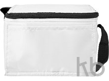 Polyester (210D) cooler bag