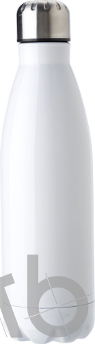 Stainless steel bottle (750 ml)