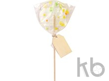 Леденец на палочке «Цукаты»