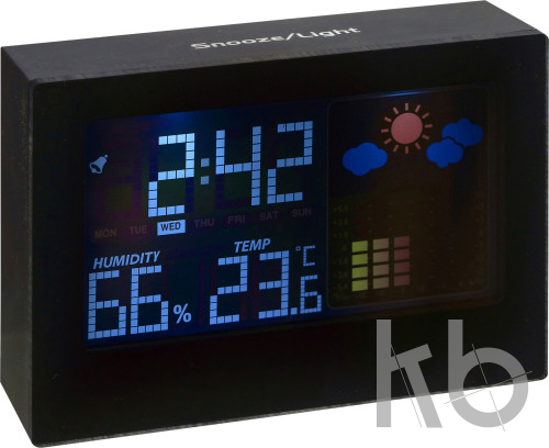 Plastic weather station