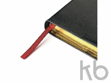 Ежедневник полудатированный портфолио А5 «Profy»