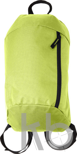 Polyester (210D) backpack