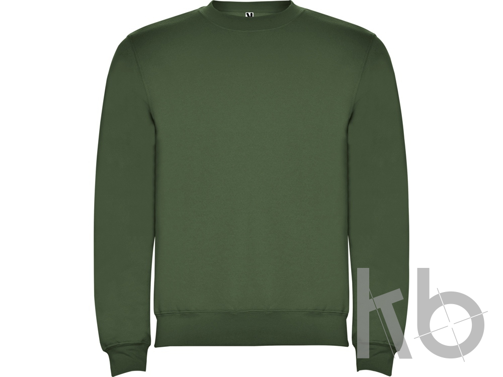 Свитшот с начесом «Clasica» унисекс