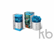 Мох Ягель натуральный