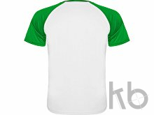 Спортивная футболка «Indianapolis» мужская