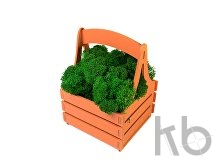 Композиция «Корзинка со мхом»