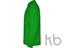 Рубашка поло «Estrella» мужская с длинным рукавом