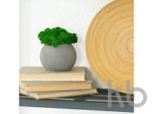 Кашпо бетонное со мхом «Сфера»