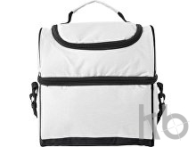 Polyester (600D) cooler bag