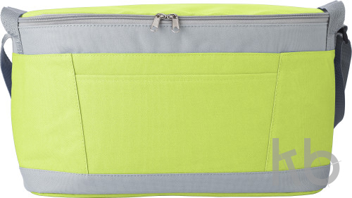 Polyester (600D) cooler bag
