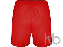 Спортивные шорты «Player» мужские