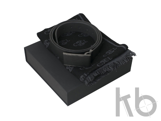 Подарочный набор Seal: шарф, ремень