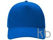 Бейсболка «Florida 350»