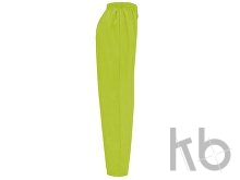 Брюки «Vademecum», унисекс