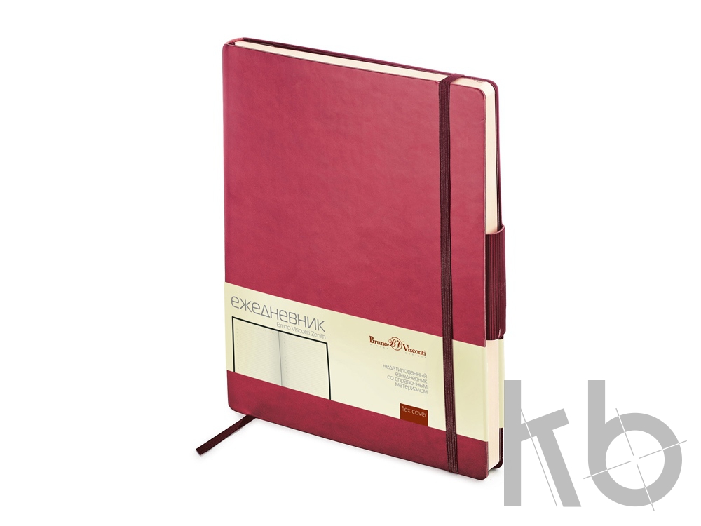 Ежедневник недатированный В5 «Zenith»