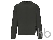 Свитшот «Teleno», унисекс